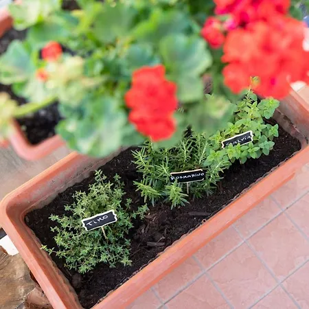 Апартаменты Viva Сорренто