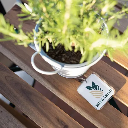 Viva Апартаменты Сорренто