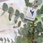 Viva Апартаменты