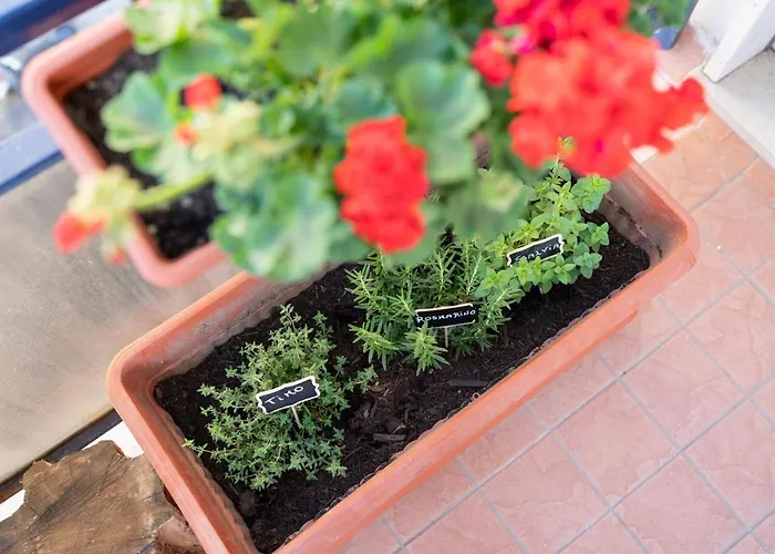 Lejlighed Viva Sorrento