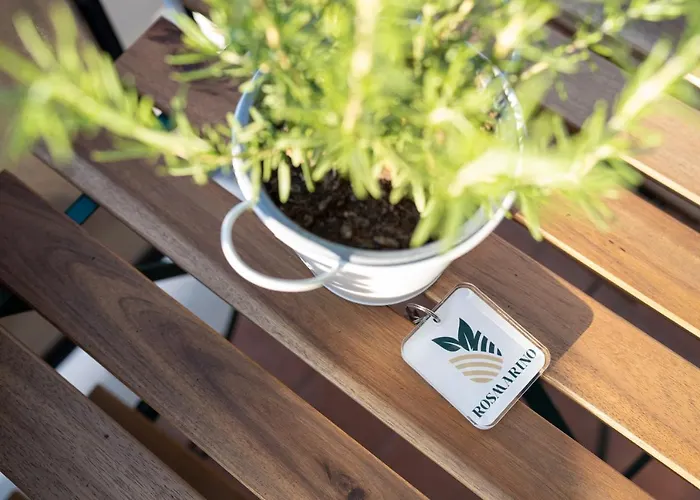 Viva Lejlighed Sorrento